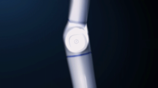item41.gif item41.gif